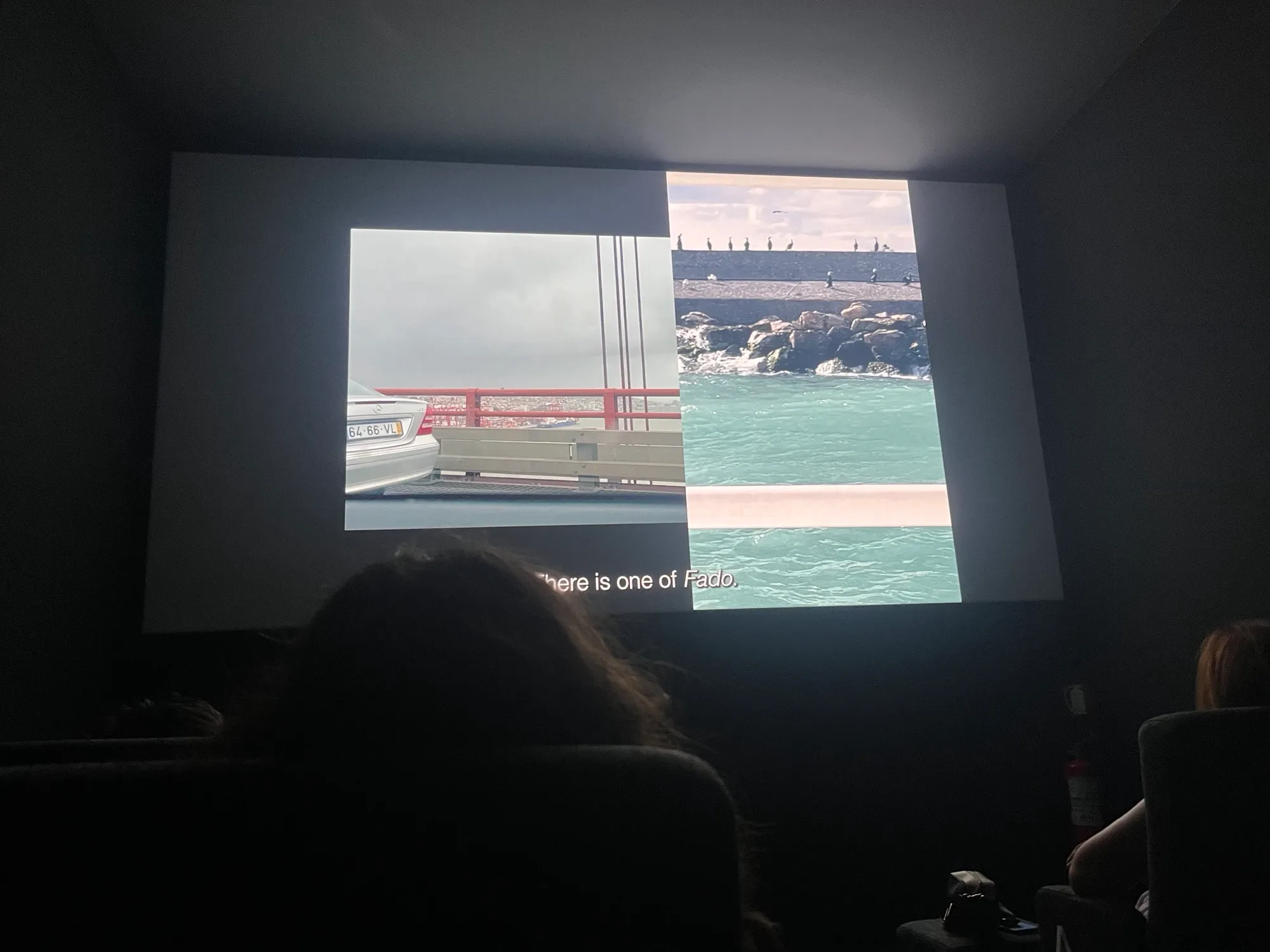 Audience watching Amor Fati or Amor Fado at Felice Film Festival, Roma